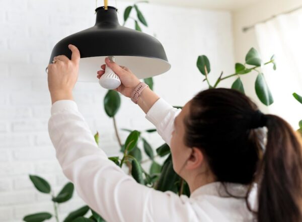 Jaka lampa do roślin?