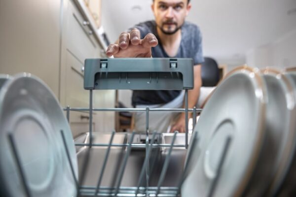 Zmywarka Siemens SD6P1S – instrukcja – Podstawowe funkcje i obsługa urządzenia
